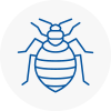 Bed Bug Extermination In Richmond South Yorkshire